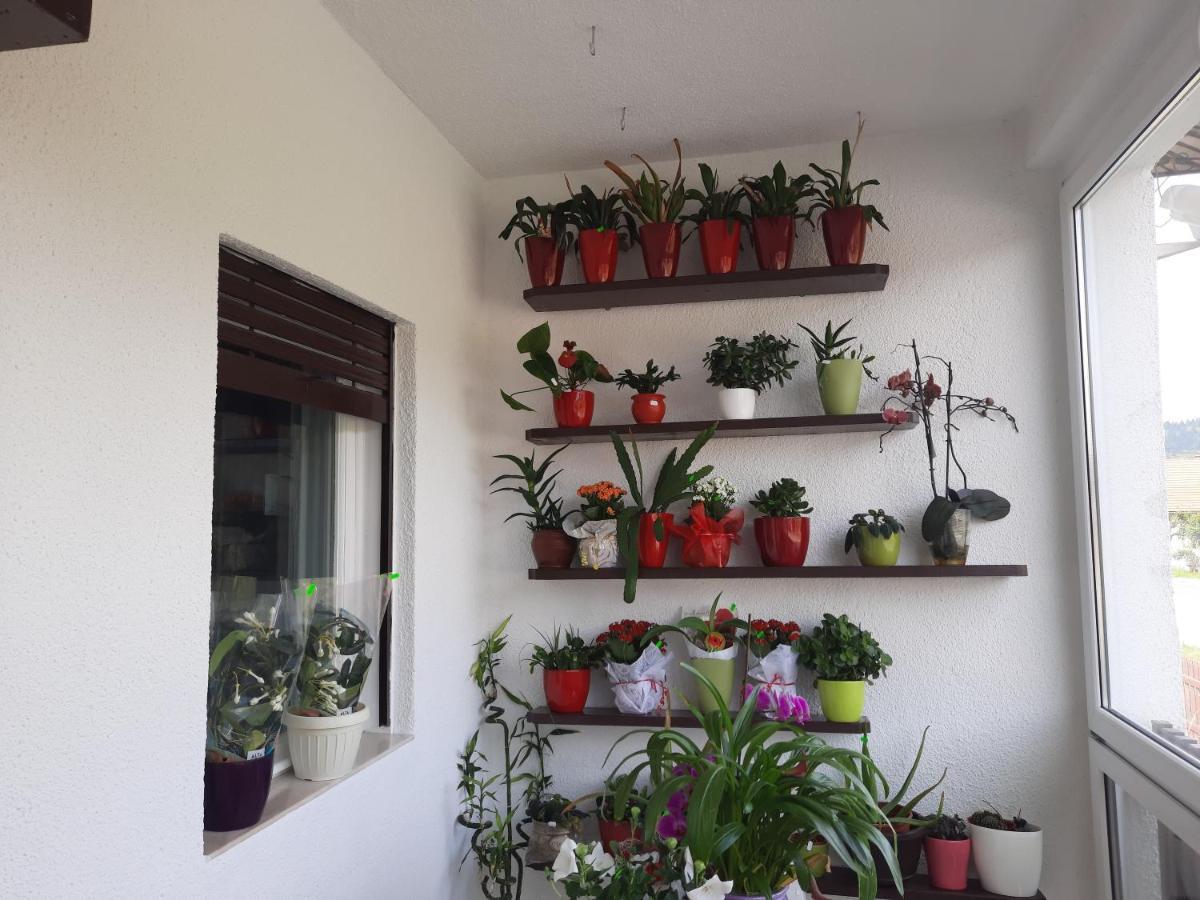 Antal Apartmans Lunca De Sus Kulcsoshaz Gyimesfelsolok Exterior photo