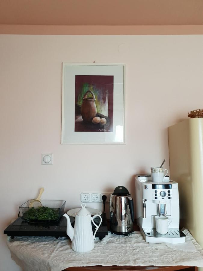 Antal Apartmans Lunca De Sus Kulcsoshaz Gyimesfelsolok Exterior photo